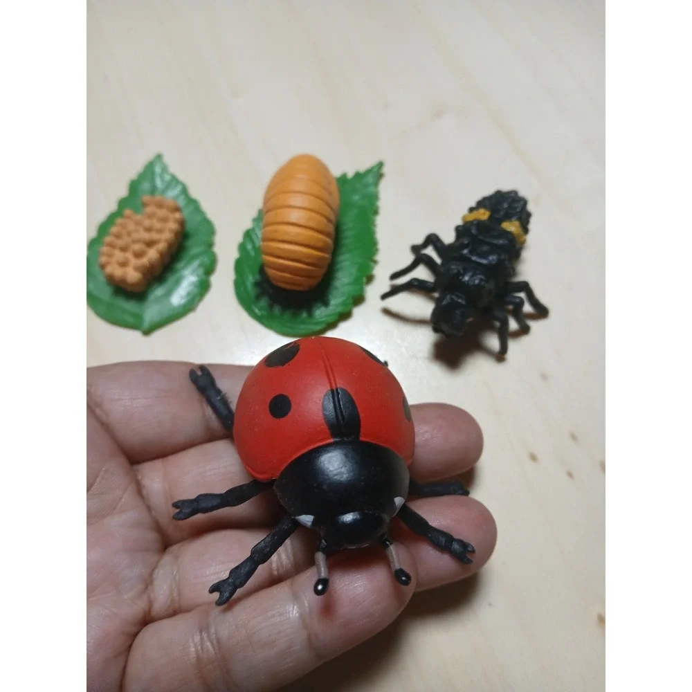 Life Cycle Of A Ladybug Figures Safari Ltd NEW Toys Collectibles Kids Education